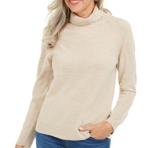 Karen Scott Soft Turtleneck Long Sleeve Sweater